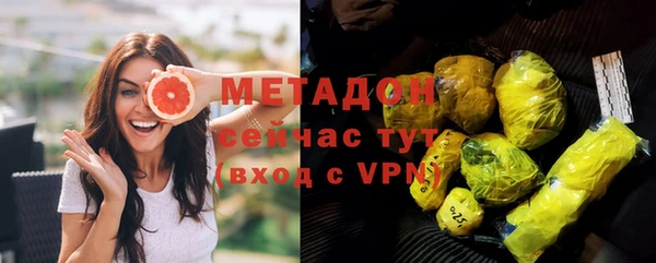 прущие грибы Дмитров