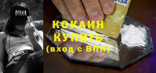 МДПВ Дмитриев