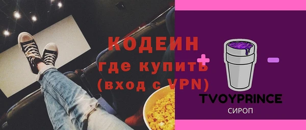 прущие грибы Дмитров