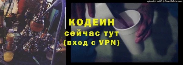 МДПВ Дмитриев