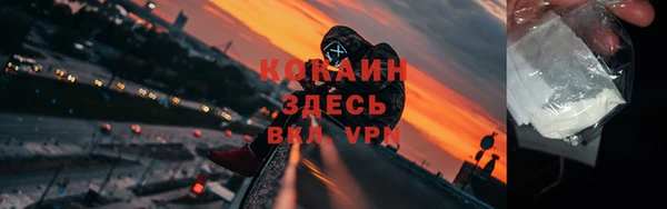 прущие грибы Дмитров