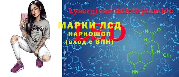 прущие грибы Дмитров