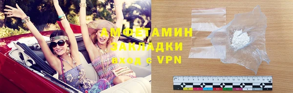 прущие грибы Дмитров