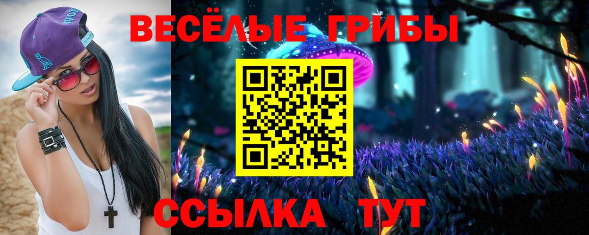 Галлюциногенные грибы Psilocybe Ярославль