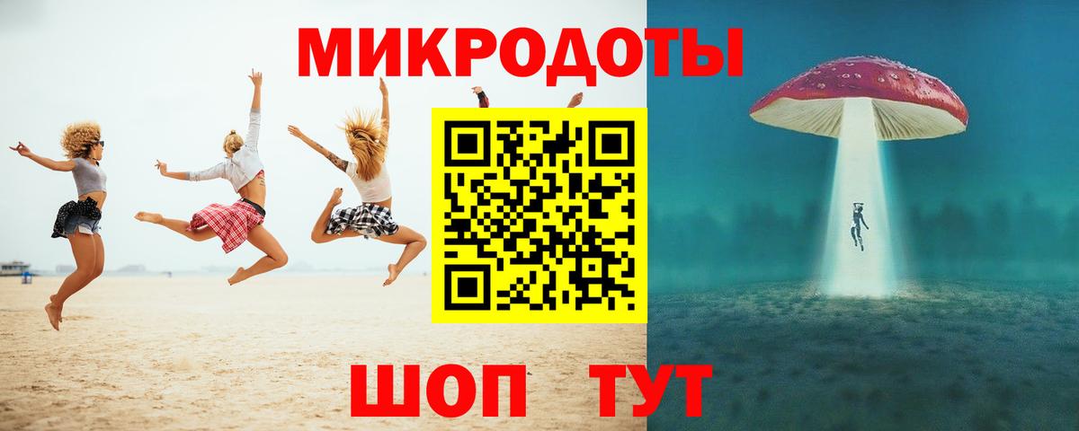 закладка  Вход с VPN  Ярославль  Галлюциногенные грибы Psilocybe 
